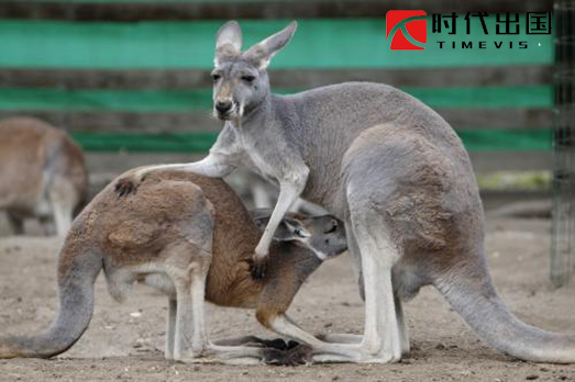 u=4044379121,2071636883&fm=26&gp=0.jpg u=4044379121,2071636883&fm=26&gp=0.jpg