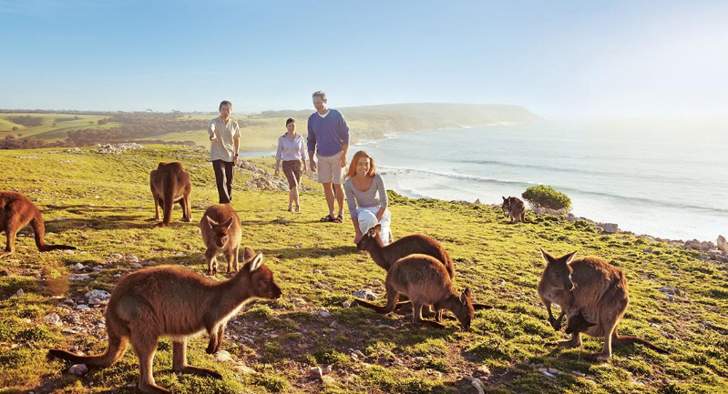 澳大利亚投资移民